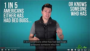 Bed Bugs Tease