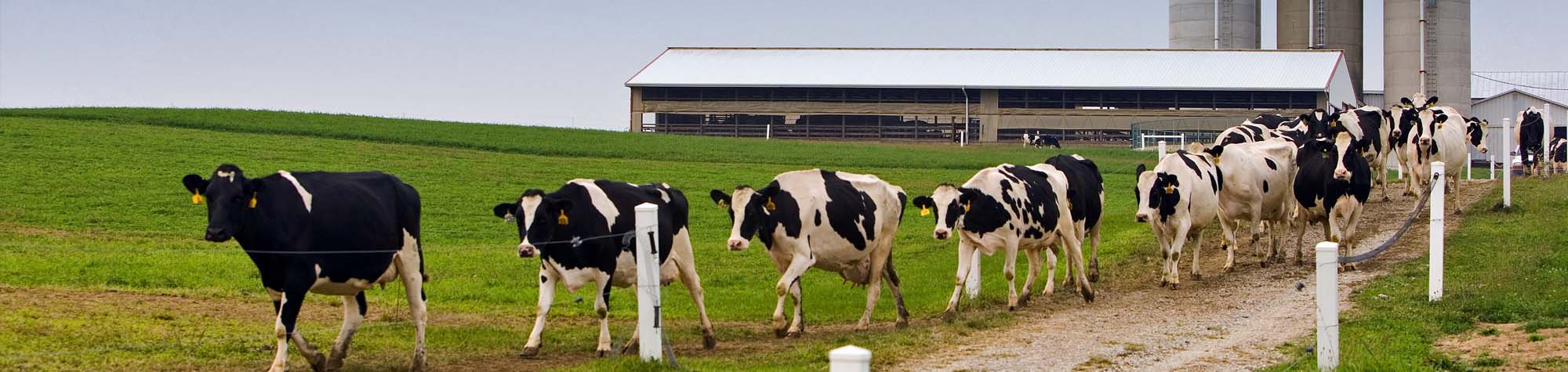 https://leafpestcontrol.com/wp-content/uploads/2019/04/Dairy-Agriculture-Header
