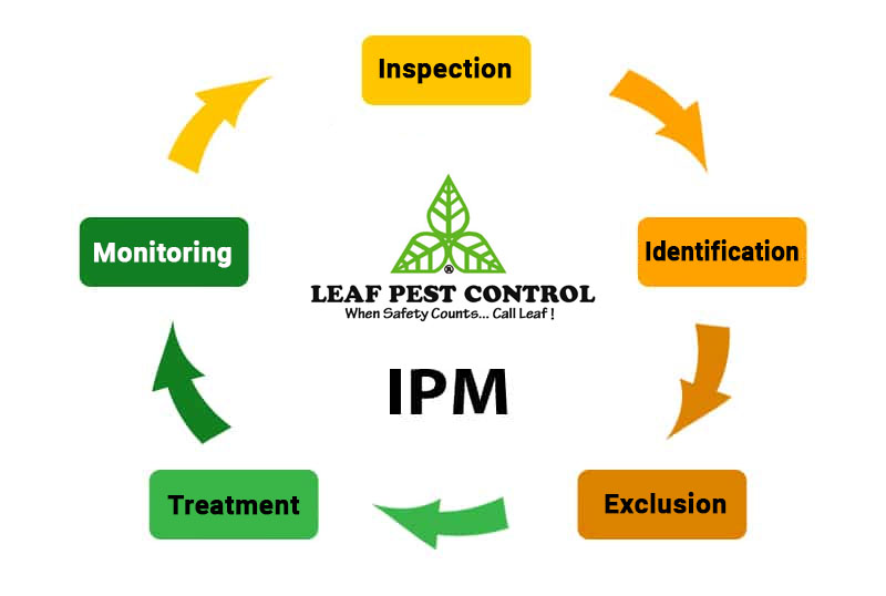 Integrated Pest Management-Leaf