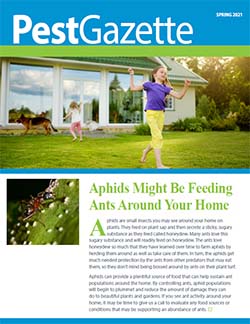 Spring 21 Pest Gazette