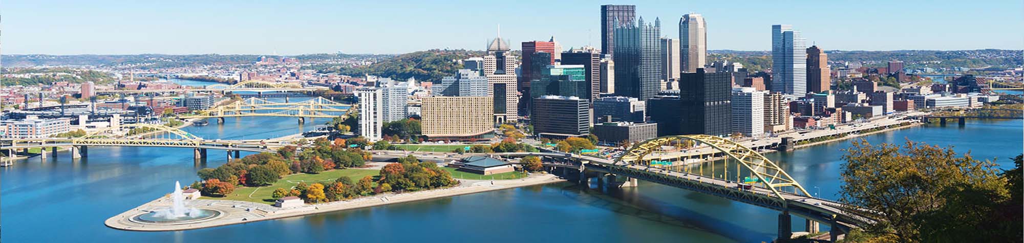 Why Leaf - City of Pittsburgh Header Image